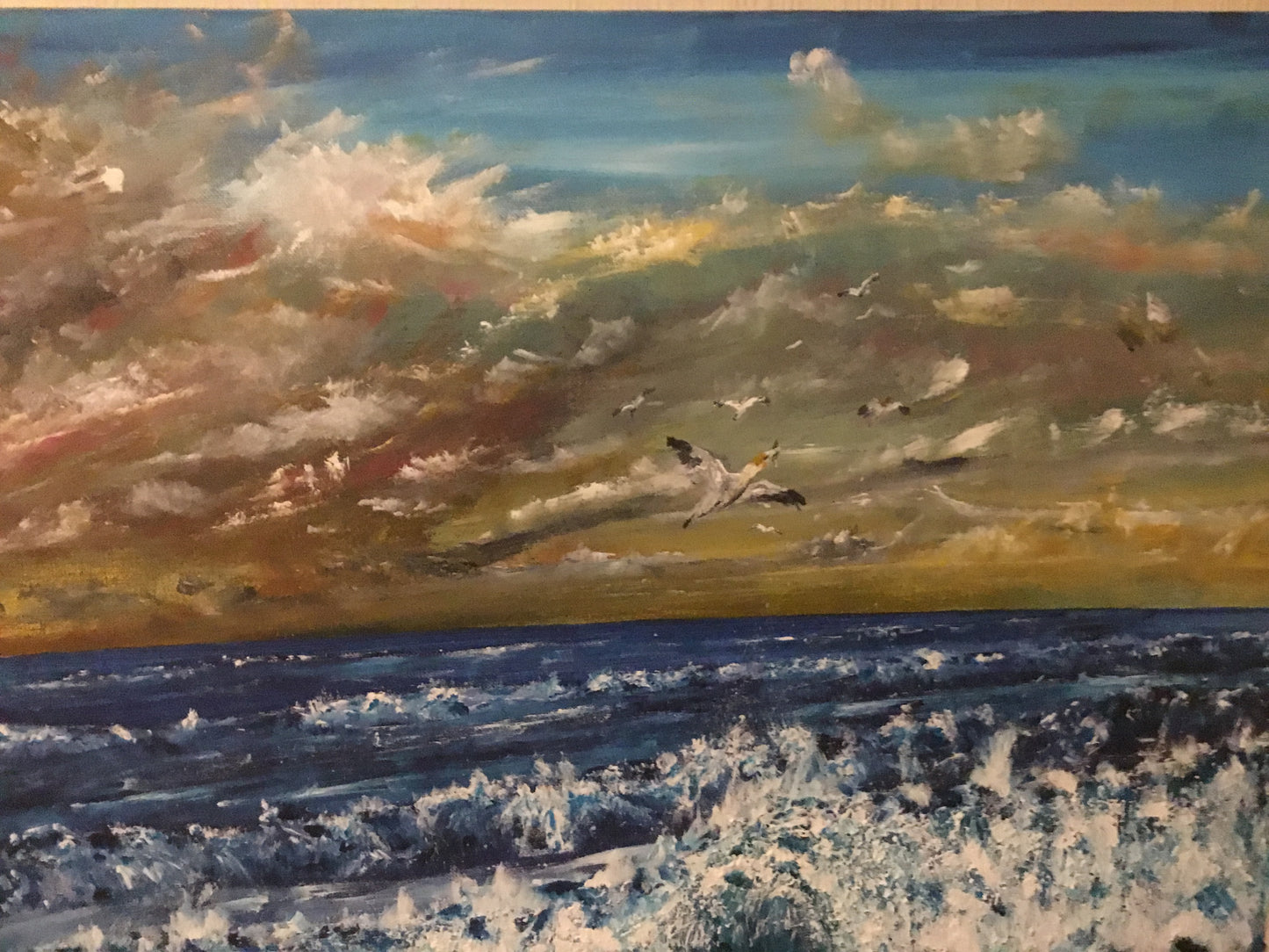 Seabirds feeding