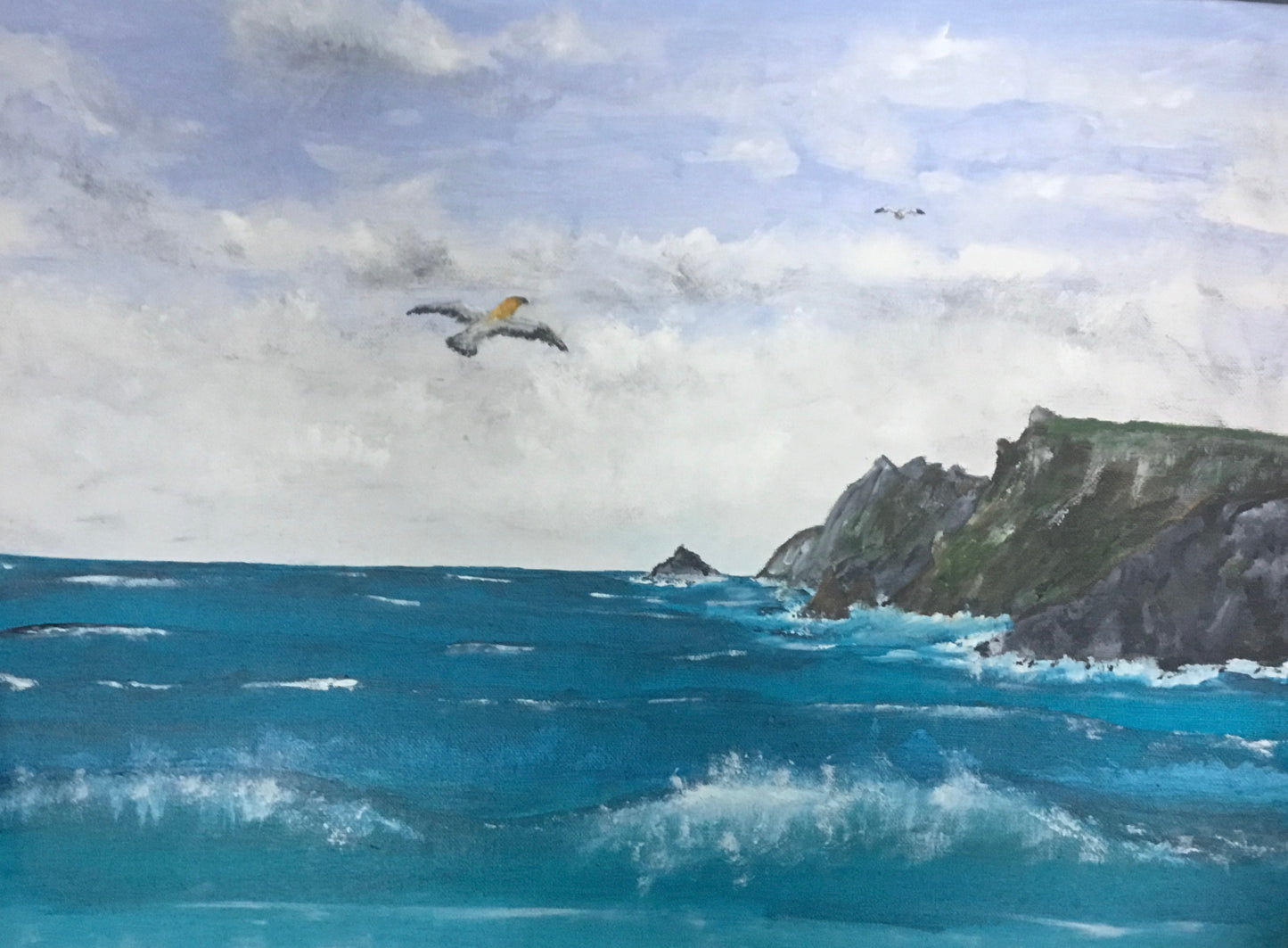 Gannet